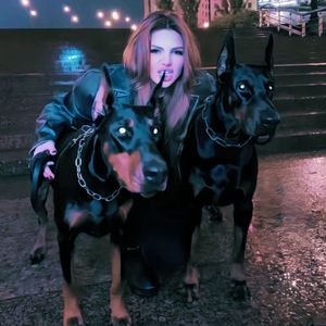 国产激情在线观看
